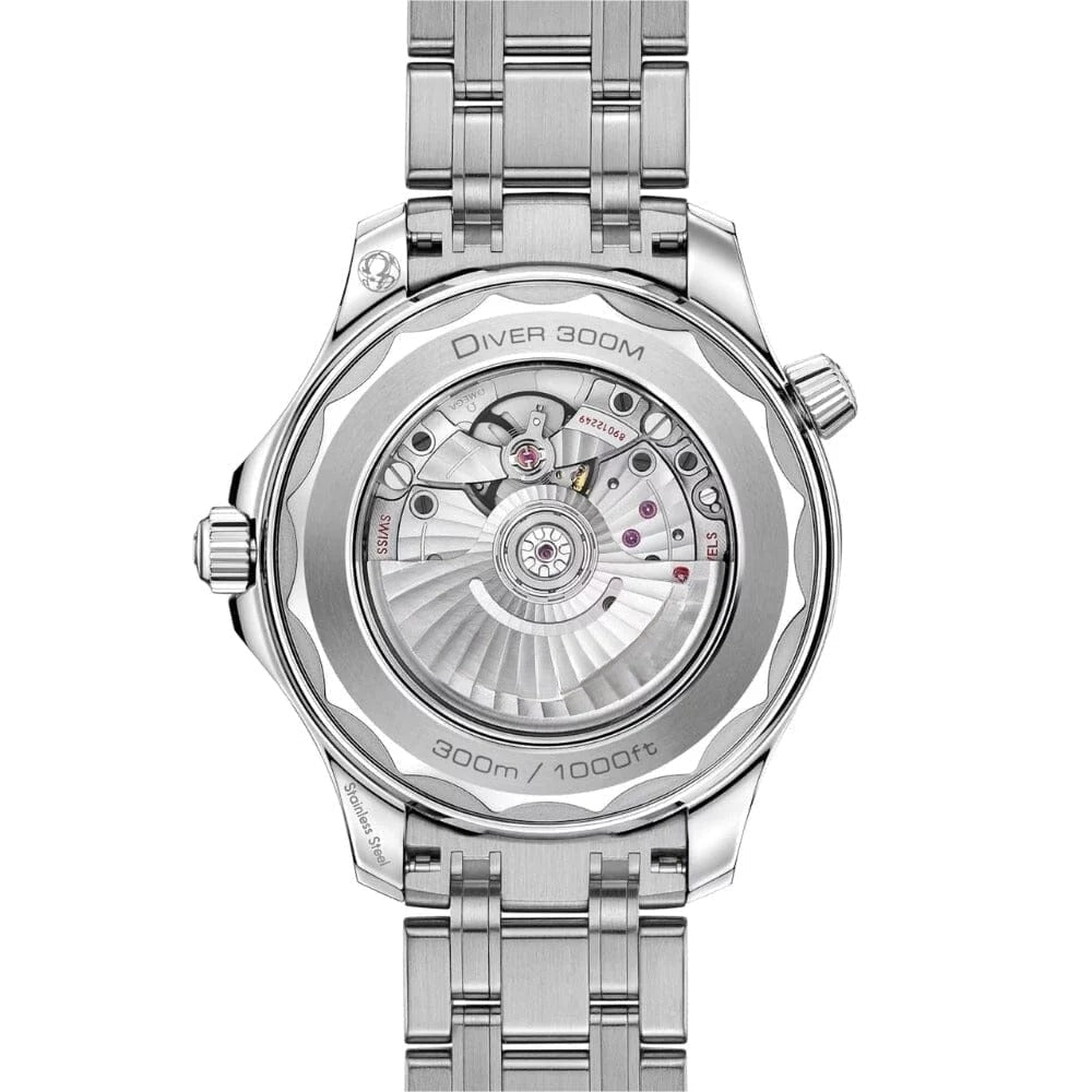 Diver Edition Men's Watch RF3OC3NFYPW